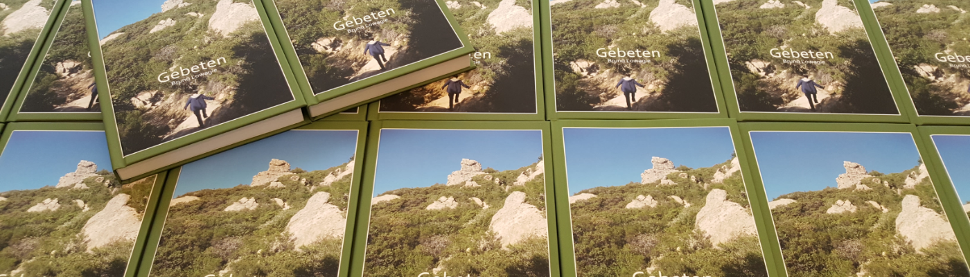 Profile banner image for BrunoLowagie