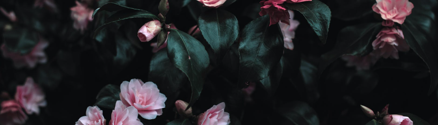 Profile banner image for Just_A_Memory