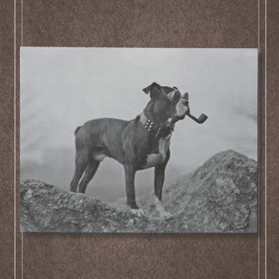 Profile avatar image for mmurphy