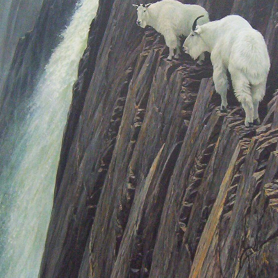 Profile avatar image for SDBergziege