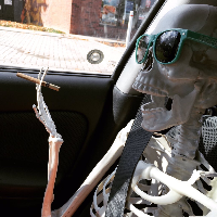 Profile avatar image for oasiscanyon