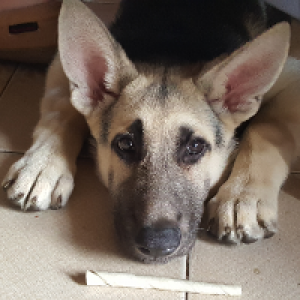 Profile avatar image for CDNKatty