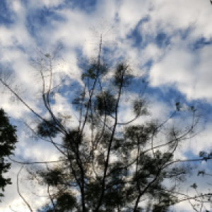 Profile avatar image for libbythepencil