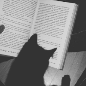 Profile avatar image for alwaysinmyhead