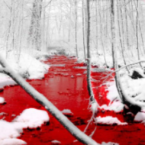 Profile avatar image for EmpressofCringe