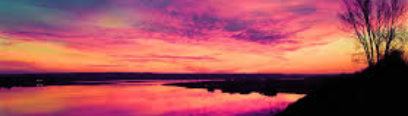 Profile banner image for Okami_Seele