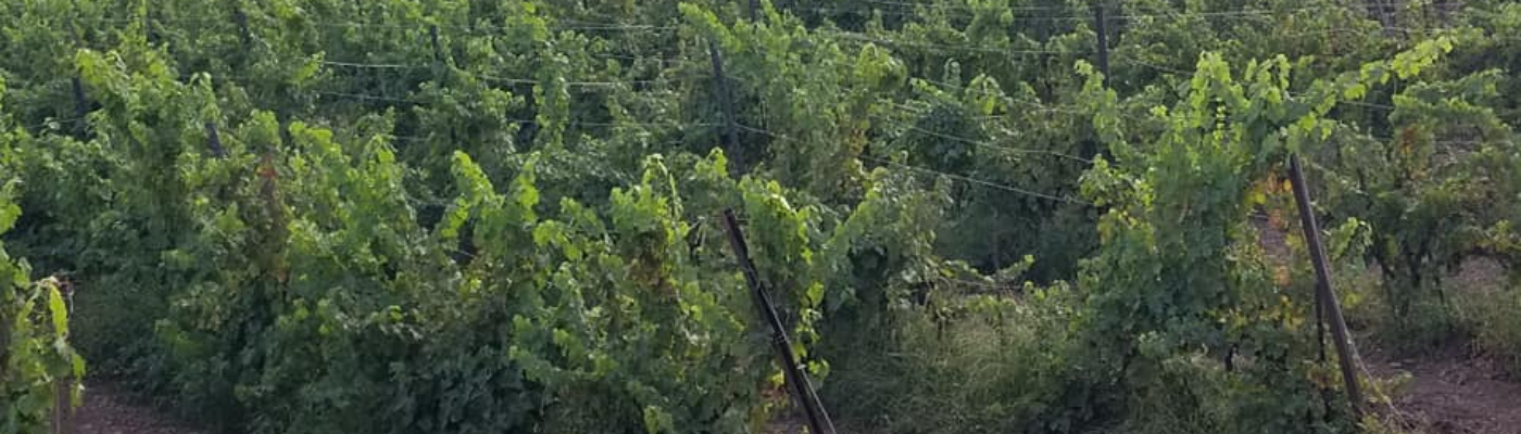 Profile banner image for jeanboz