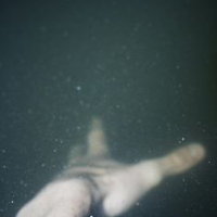 Profile avatar image for excelestial