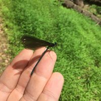 Profile avatar image for Akendrum