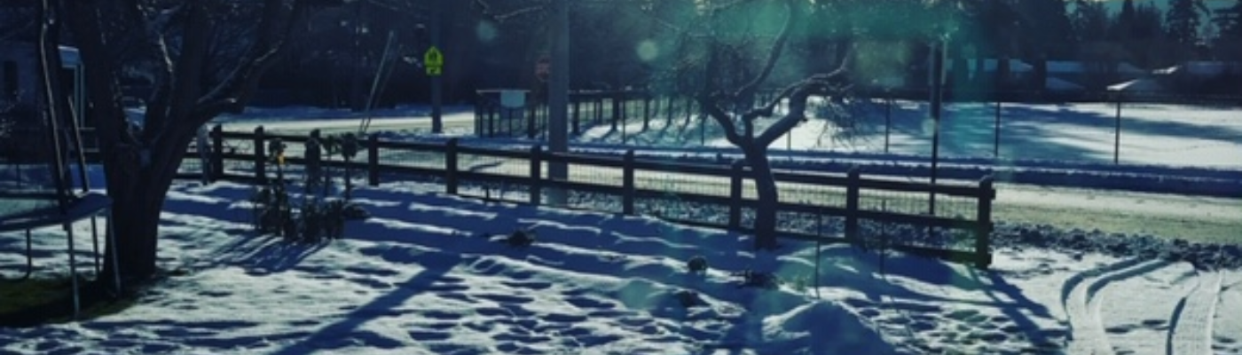 Profile banner image for WWJennXD