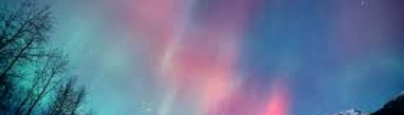 Profile banner image for kittykt1119