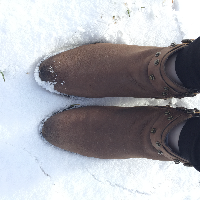 Profile avatar image for Ophelia