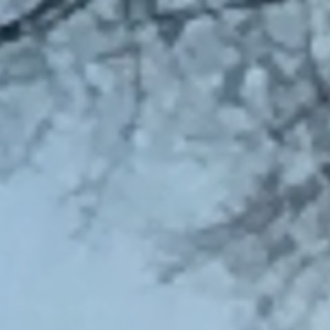 Profile avatar image for LynnTaylor