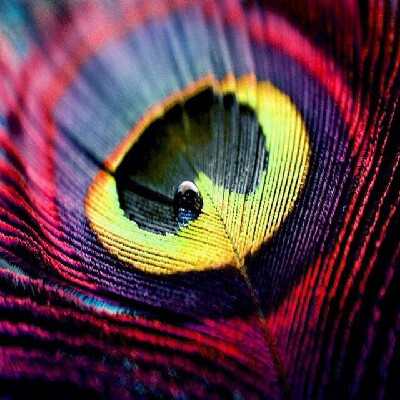 Profile avatar image for boo_boo