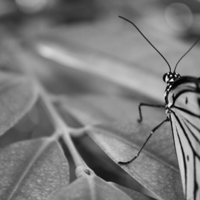 Profile avatar image for Nyx