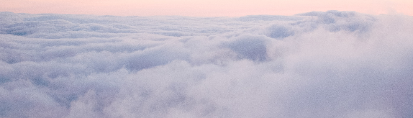 Profile banner image for indego