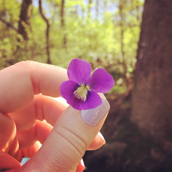 Profile avatar image for AshleyA