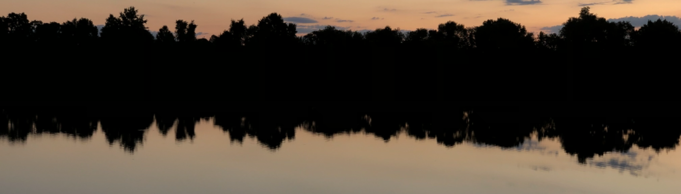 Profile banner image for DavidJ