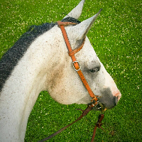 Profile avatar image for CGM