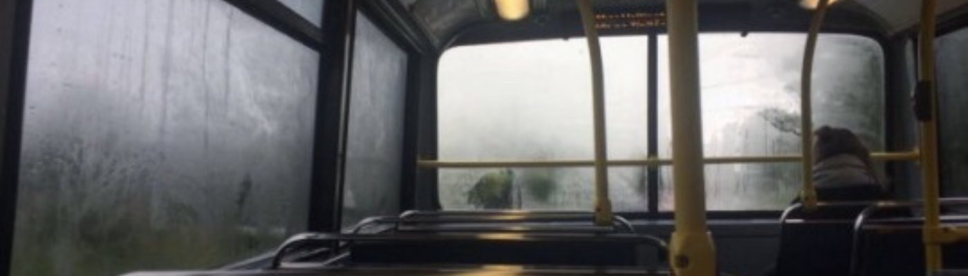 Profile banner image for mosquito