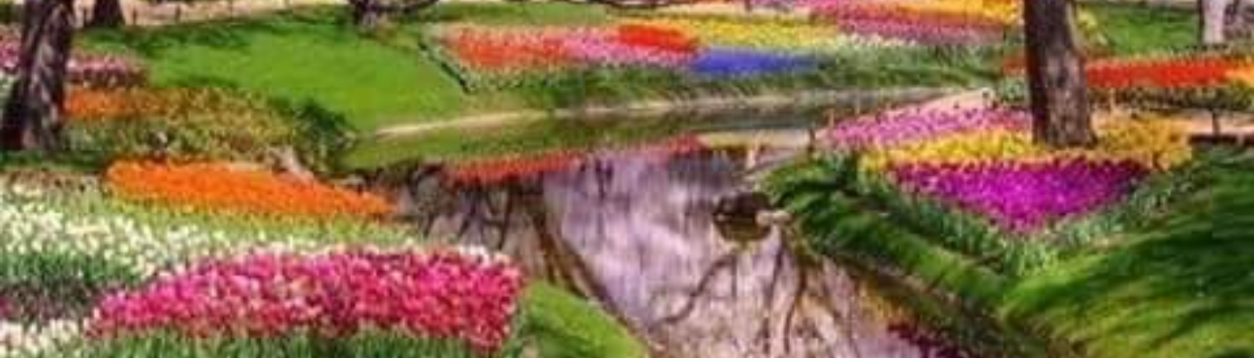 Profile banner image for MelissaOdom