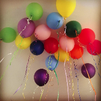 Profile avatar image for brucklethings