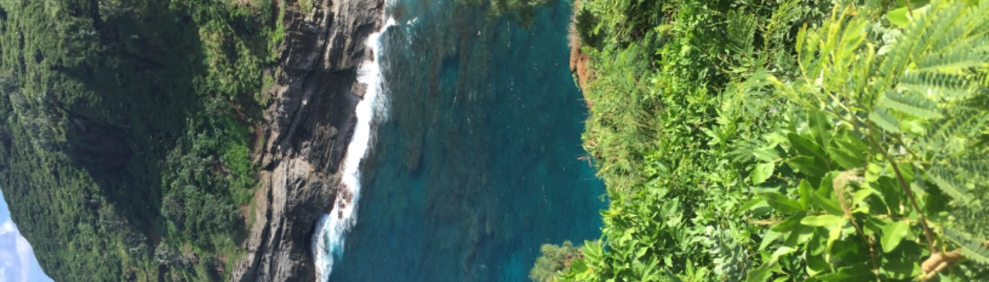 Profile banner image for Deadgaywalking