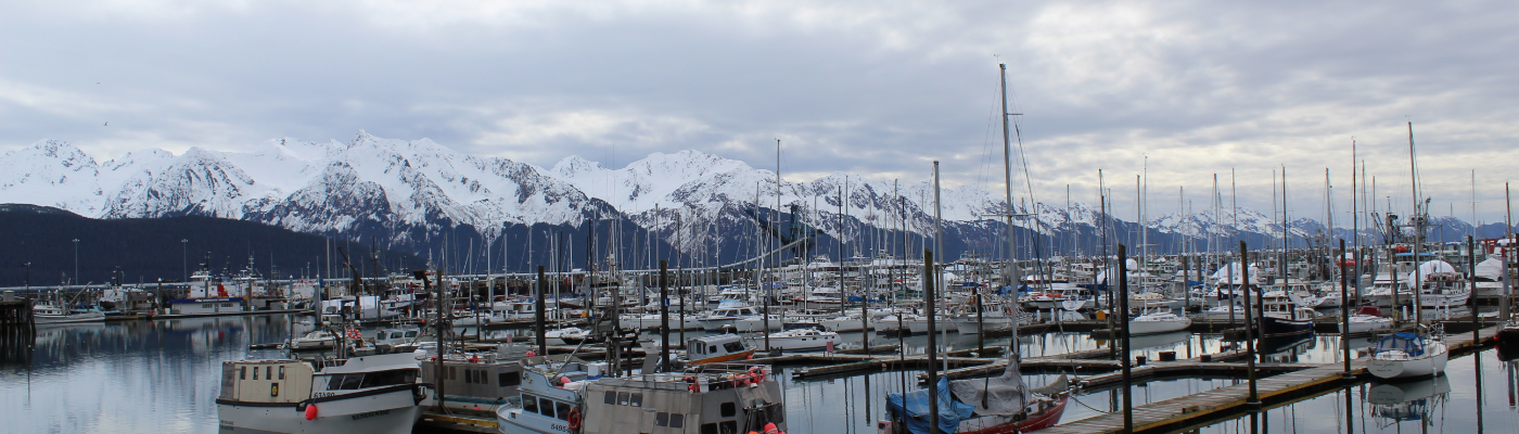 Profile banner image for eschiemwrites