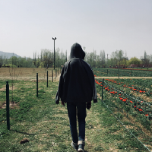 Profile avatar image for imperium_odium