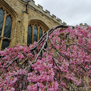 Profile avatar image for ettiedm_