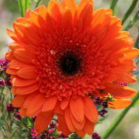 Profile avatar image for ItUsedToBeDark