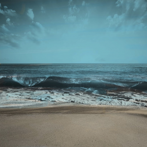 Profile avatar image for Sally_Frazier