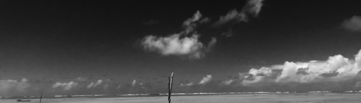 Profile banner image for RookieWriter