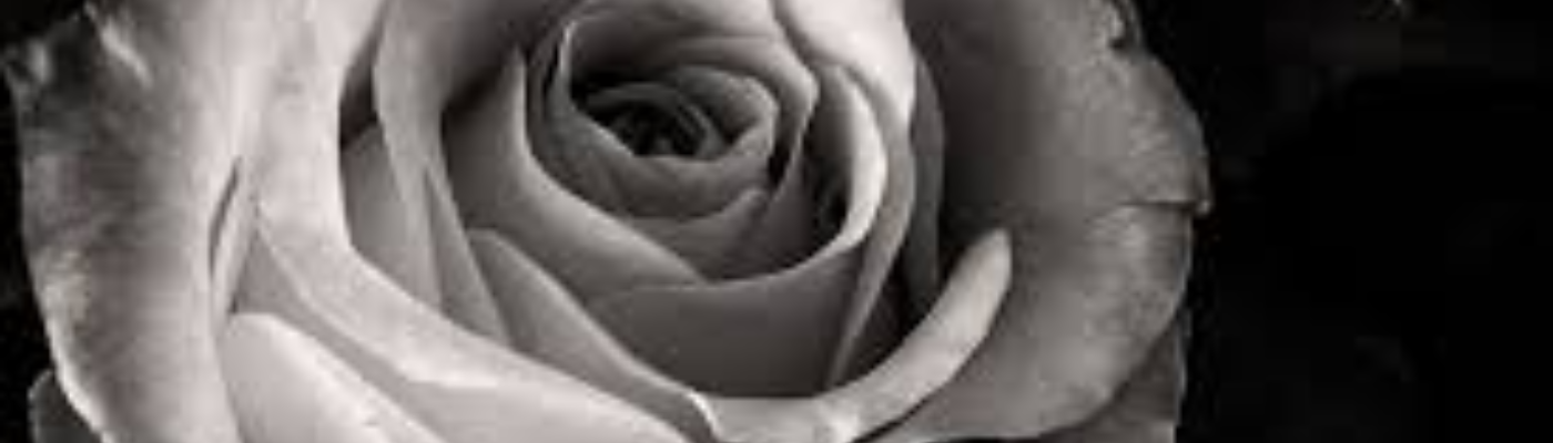 Profile banner image for lovelygirl3047