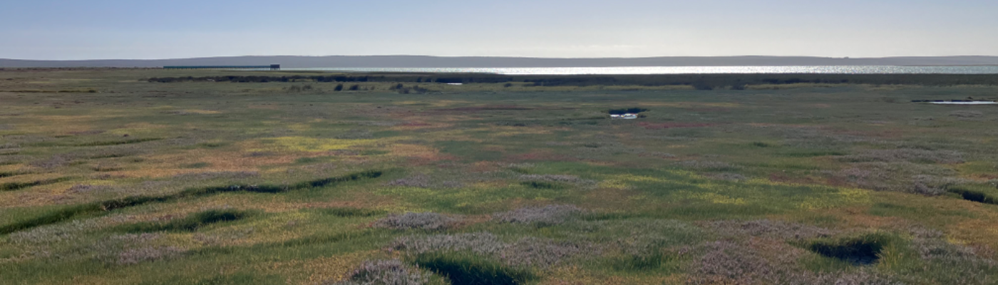 Profile banner image for milu