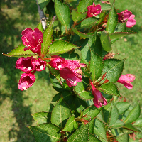 Profile avatar image for kythia