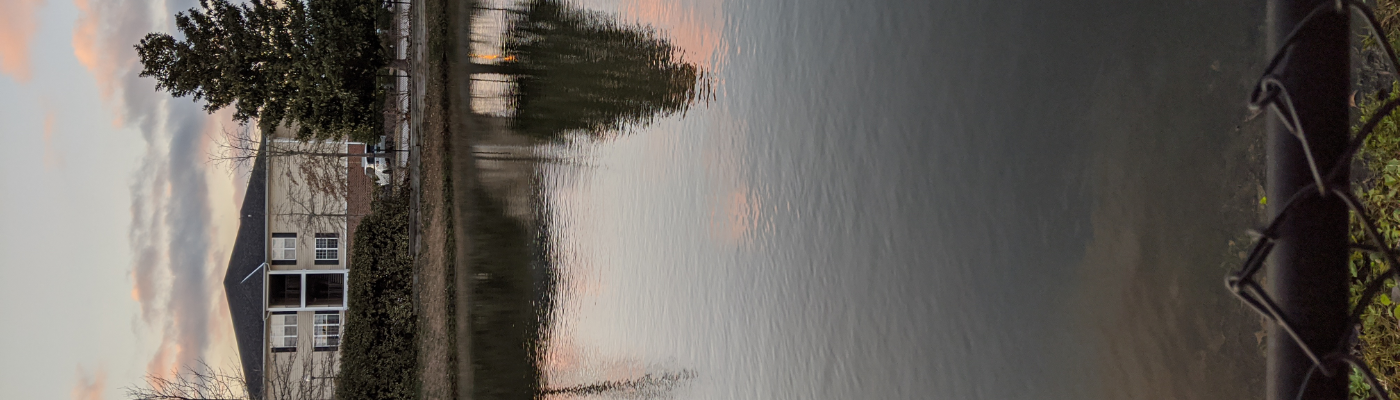 Profile banner image for Mothmania