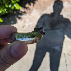 Profile avatar image for Mothmania