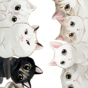 Profile avatar image for CallMeFuzzy