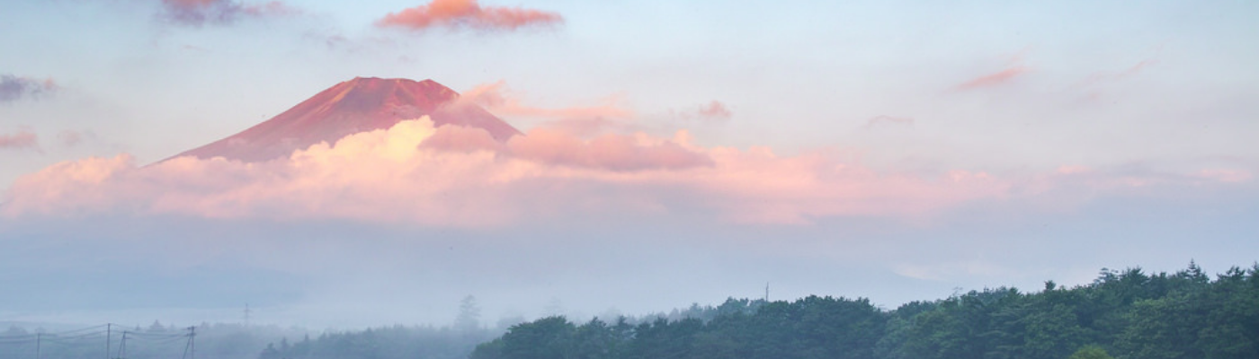 Profile banner image for sunflowerwords