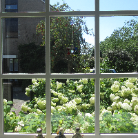 Profile avatar image for tea_bee