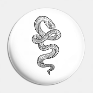 Profile avatar image for sly