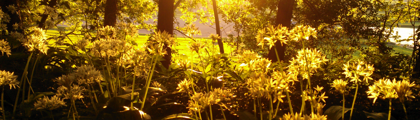 Profile banner image for GMath23