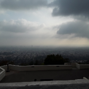 Profile avatar image for Willow