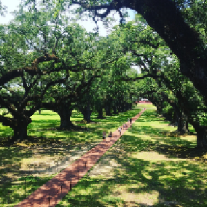 Profile avatar image for thelostlilac