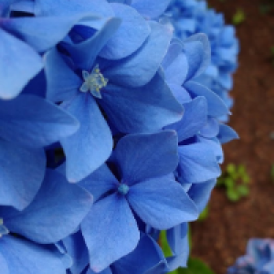 Profile avatar image for Ulyssesa