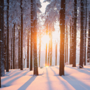 Profile avatar image for ReaganHan0987