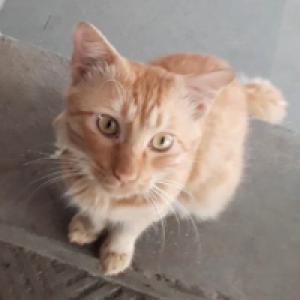 Profile avatar image for PurpleKitty