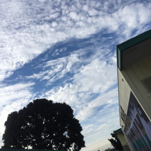 Profile avatar image for King_Arthur