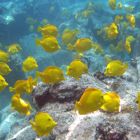 Profile avatar image for Rachels_stuff